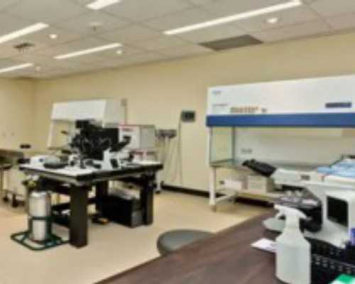 香港验血邮寄管子可以保存几天_去香港验血还是去深圳,怎么预约香港验血机构