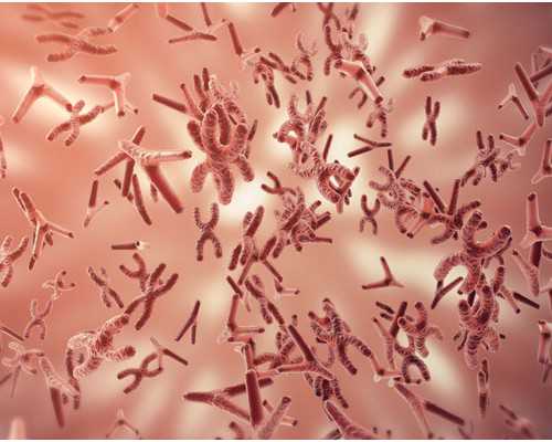 香港验血诊所深圳_香港验血鉴定宝宝_告诉你邮寄验血准不准