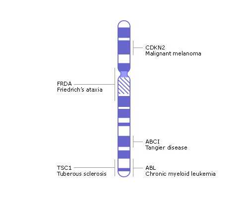 香港验血测胎儿中介_大家去香港诊所化验血,怎么选择权威的验血机构