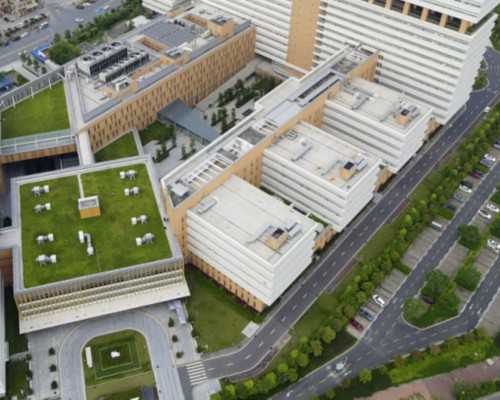 寄血去香港验血靠谱吗_香港验血辩男女_哪家化验所最权威你知道吗