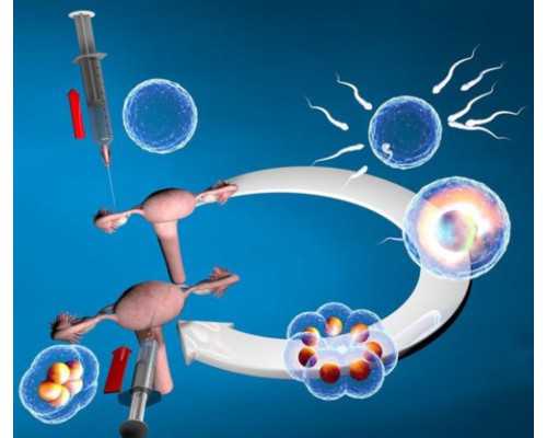 古玩收藏官网_“水墨世界·十年华章——中国书画名人堂十周年艺术精品展”在