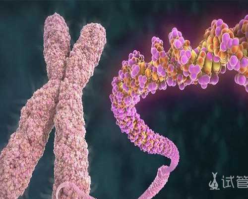 杭州有没有人收购古玩_“翰墨空间——故宮书画赏析”台北故宫开展