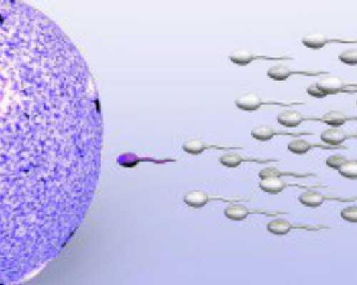 二胎吧 香港验血价格_香港时代医疗验血报告_鉴定性别哪个化验所最准确