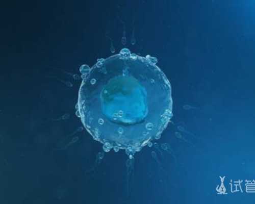 古玩鉴宝软件哪个好_不动也减肥？燃脂分子被发现