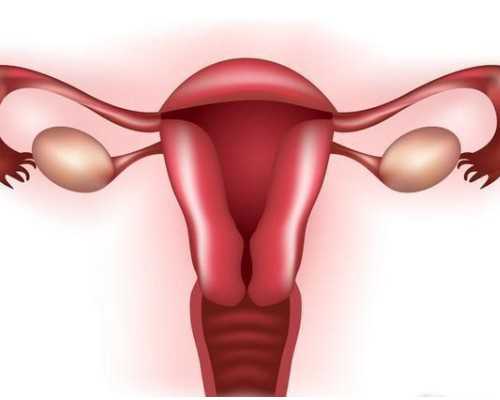 古玩瓷器鉴定放大镜_第四届迪拜设计周11月周华丽回归