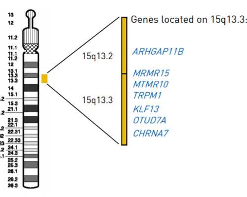 香港验血查性别准确度_香港验血女孩,查胎儿性别要多少钱