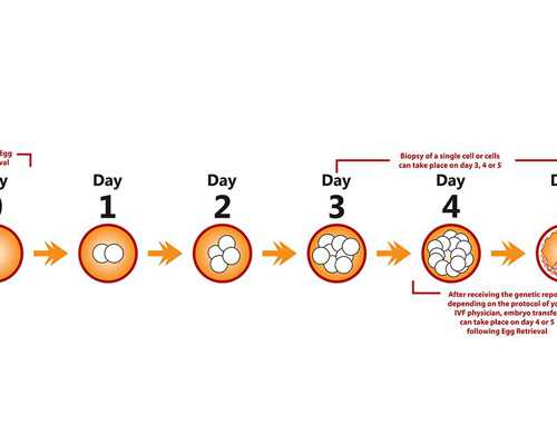香港邮寄验血只能在官网查到记录_<html><body><p>香港妇贝验血真假呢_验血到底靠