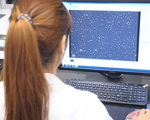 7788收藏古玩交易网怎么样_香港古董街漫谈