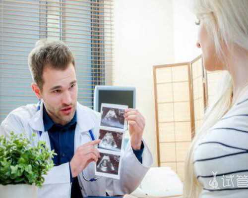 香港验血查男女是怎么做的_关于植物的作文300字！关于植物的作文300字。