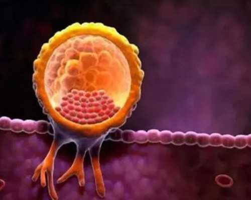 西安古玩拍卖公司哪家好_8个运动误区让你越减越肥