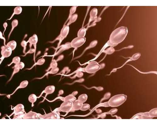 桂林古玩钱币市场在哪_中国嘉德2019秋拍精品推荐:张大千《春愁》