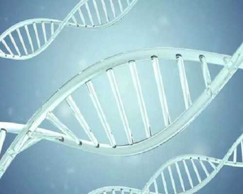 上海古玩交易市场最大_网友支招:男人怎么减肥