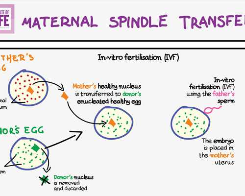 香港验血上哪邮寄_在香港验血男女时间是多久?最关键的流程都在这里