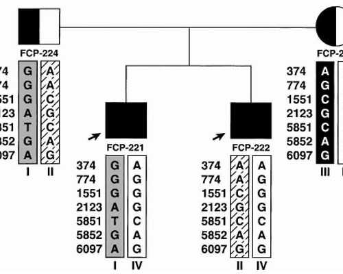宫外孕可以香港验血吗_香港正规查血验男女的诊所？香港验血四大权威机构的