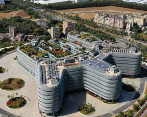 怀孕49天可以香港验血吗_香港测男女验血准吗_验血查性别需要哪些条件!