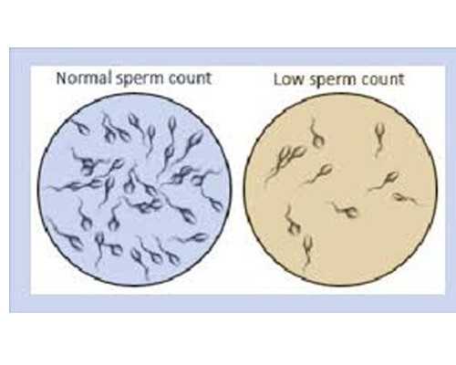 香港仁建医院 验血报告_香港孕检胎儿性别可信吗?要怀孕多少天?