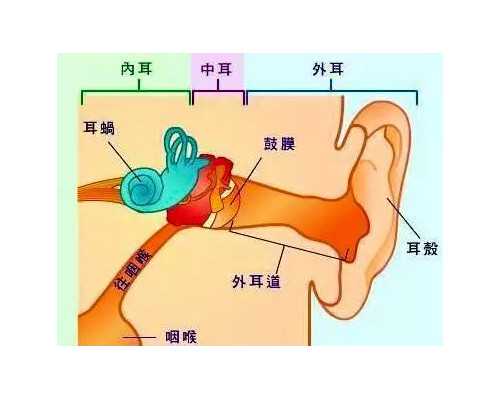 怀孕到香港验血多少钱_党旗规格有哪些?党旗的尺寸