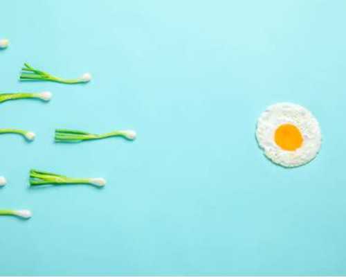 上海古玩交易中心地址_邮币卡:对倒作价 恶意操控市场