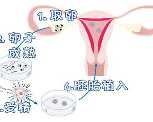 本地邮寄香港验血_到香港验血检查性别_胎儿性别鉴定会不会翻盘