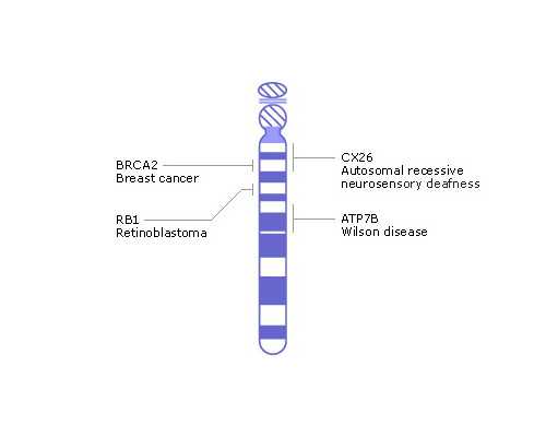 香港验血是把自己的血寄过去吗_香港怀孕几个月可以查男女的_有什么需要注意