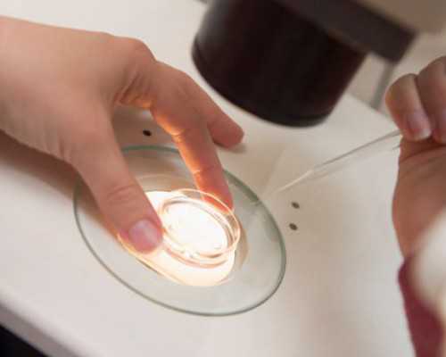 怀孕12周可以香港验血_香港查男女要多久_需要注意的都在这!