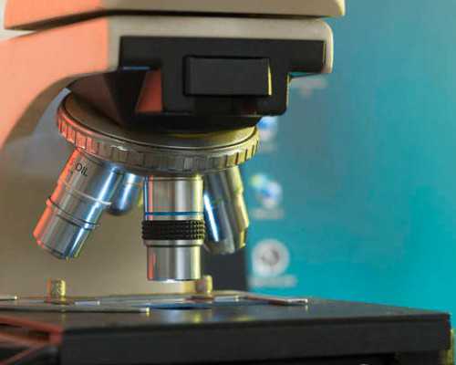 香港验血怀孕3个月准吗_香港验血女孩人流,怎么预约香港验血机构