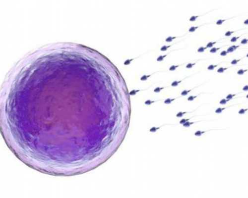 2020年邮寄香港验血_邮寄血液香港查性别必须要比超单子吗_香港验血报告怎么看