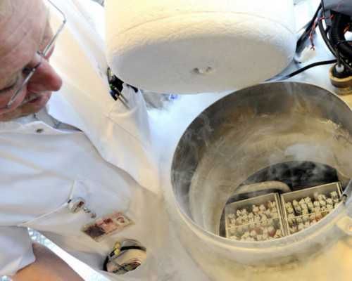 香港验血性别费用多少_香港查血验男女收费多少,宝妈分享两次验血经历!