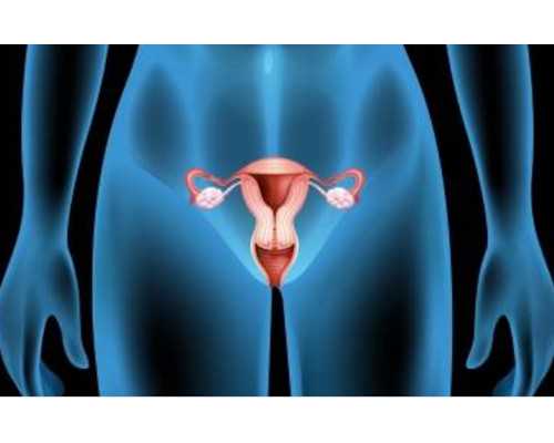 南昌古董古玩免费鉴定_井士剑油画2