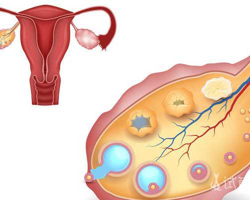 试管 想要儿子 香港验血_2020香港验血15个d准不准_真实经历分享!