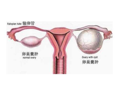 香港验血检查中心有哪些项目_怎么去香港验血查性别_dna胎儿性别邮寄准不准