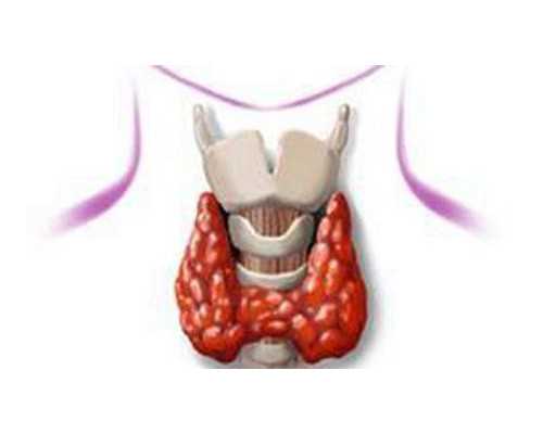 泰国试管婴儿费用，泰国试管婴儿多少钱~试管代孕总费用