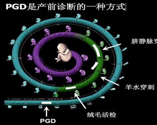 为什么香港验血中介3000元_去香港查性别多少钱_需要注意的都在这!