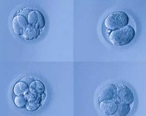 邮寄香港验血邮寄伪装_香港怀孕一个月查男女_寄血过去可靠吗性别鉴定