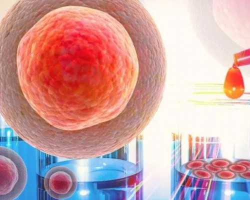 李成儒古玩虫儿电视剧_首都美术家送欢乐走进中国航天二院