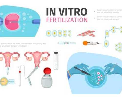 鉴宝古玩捡漏类小说_浓汤宝盐超标要多放水少喝汤