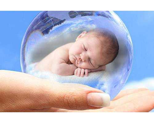 香港大学深圳医院验血多少钱_关于梅花的作文，800字写梅花的作文500字，