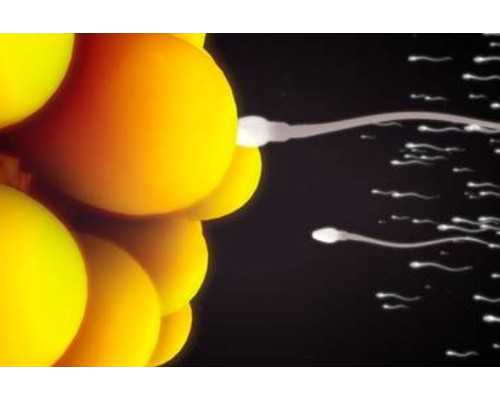 香港俊汇医院验血准吗_香港验血不准的例子_怎么预约去香港验血!