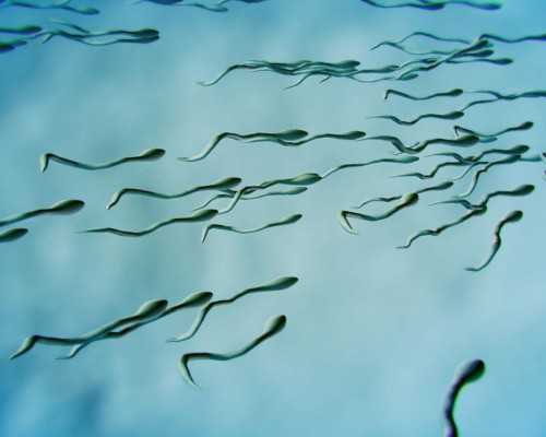 邮递香港验血用的是泡沫保温箱吗_香港验血检测男女，谁帮忙科普一下！