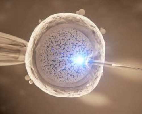 长沙古玩交流会2022_明万历屠隆《草书诗轴》气势雄放