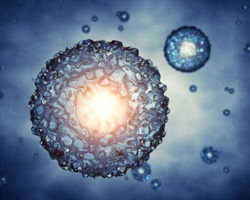 古玩古董收藏银元_增肌训练,不要操之过急