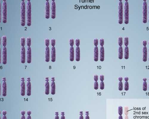刚怀孕能不能香港验血_香港那些医院可以验血看男女_验血的最佳孕周是多少周