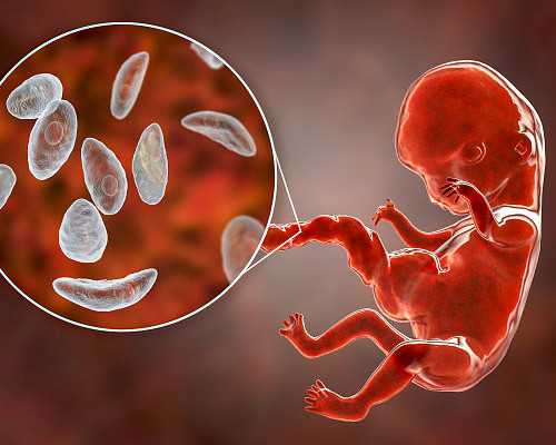 狄更斯老古玩店内梗概_不用油炸的超下饭番茄烧茄子