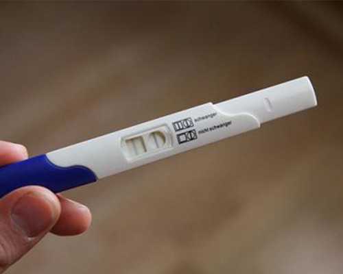 古玩鉴定专家微信_六十载墨香润心田