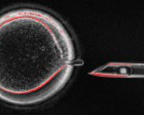 香港验血报告单准确率_‘王祥卧冰’什么意思