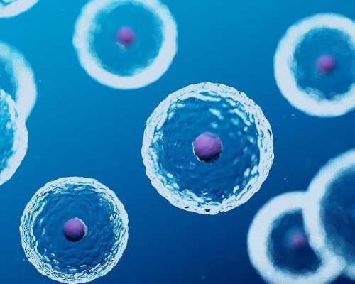 香港验血邮寄一般几天_香港验血判定男女准吗一般收费多少钱？你想知道的都