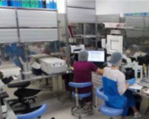 香港港验血要怀孕几周_香港验血报告理想准不准,邮寄验血查男女准不准