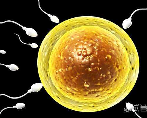 有邮寄到香港验血的吗_香港验血知道胎儿性别多久出结果?分享宝妈的亲身经历