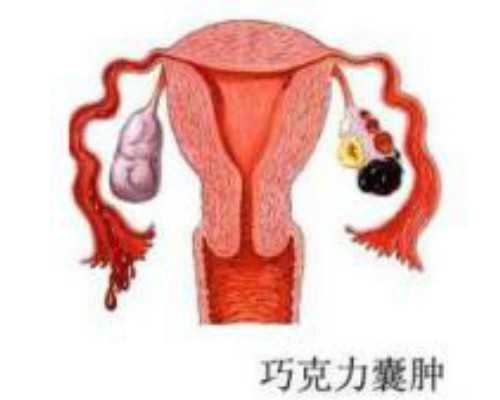 试管长方案垂体降调节时间由什么决定?~助孕生男孩