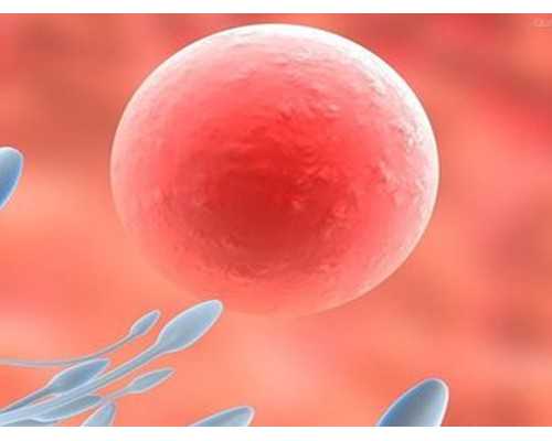 香港验血邮寄血溶血了_送血去香港查男女几天结果准备_验血查男女要多少钱